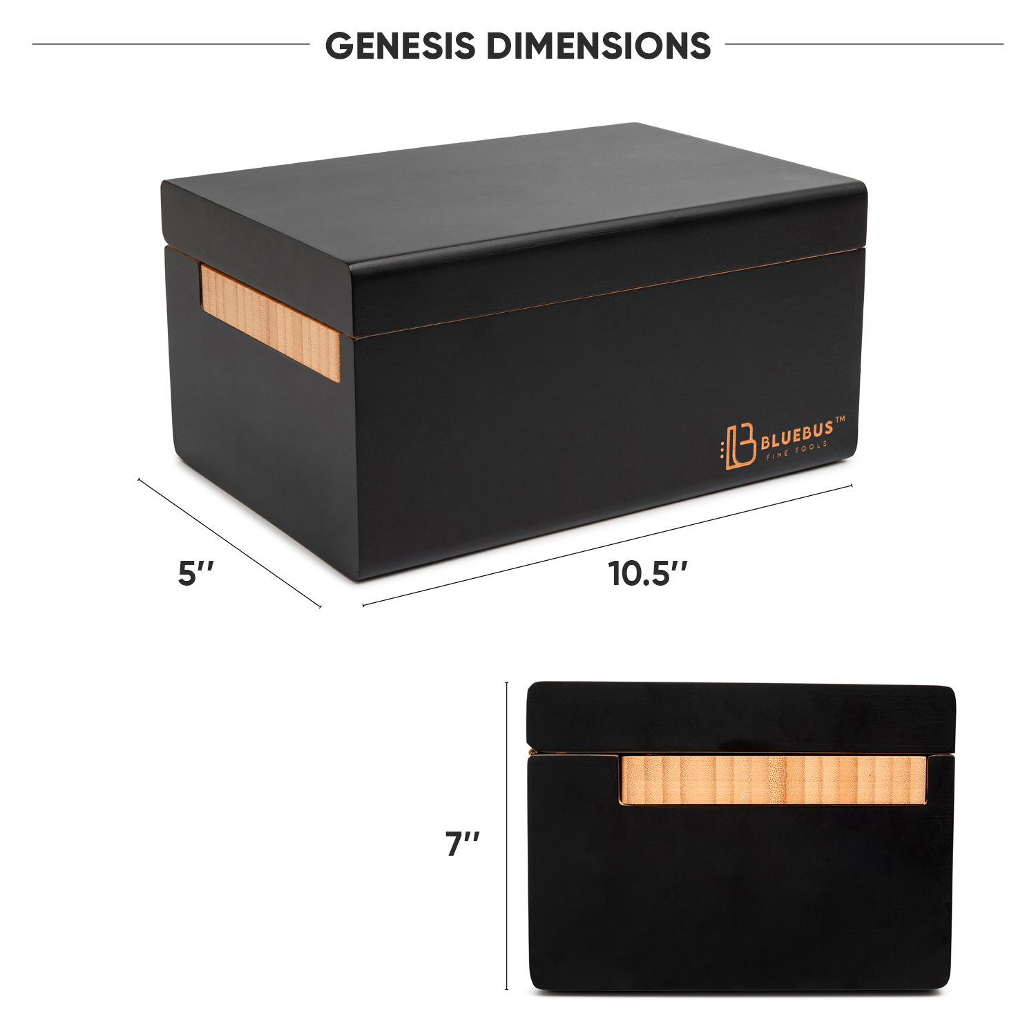 GENESIS 1.0 Storage Stash Box with Lock