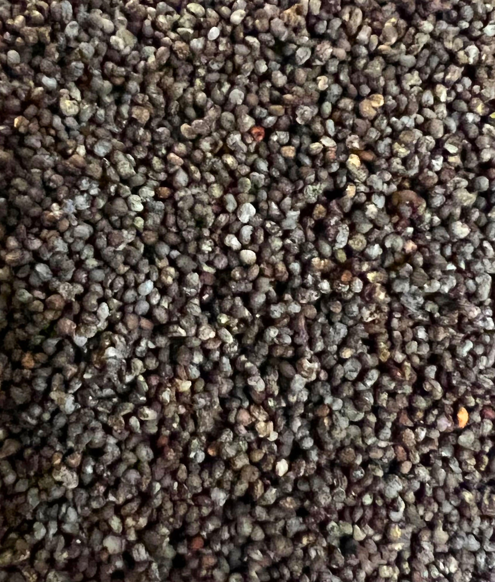 Ripkitty Premium Organic Unwashed Natural Papaver Somniferum Culinary Poppy Seeds