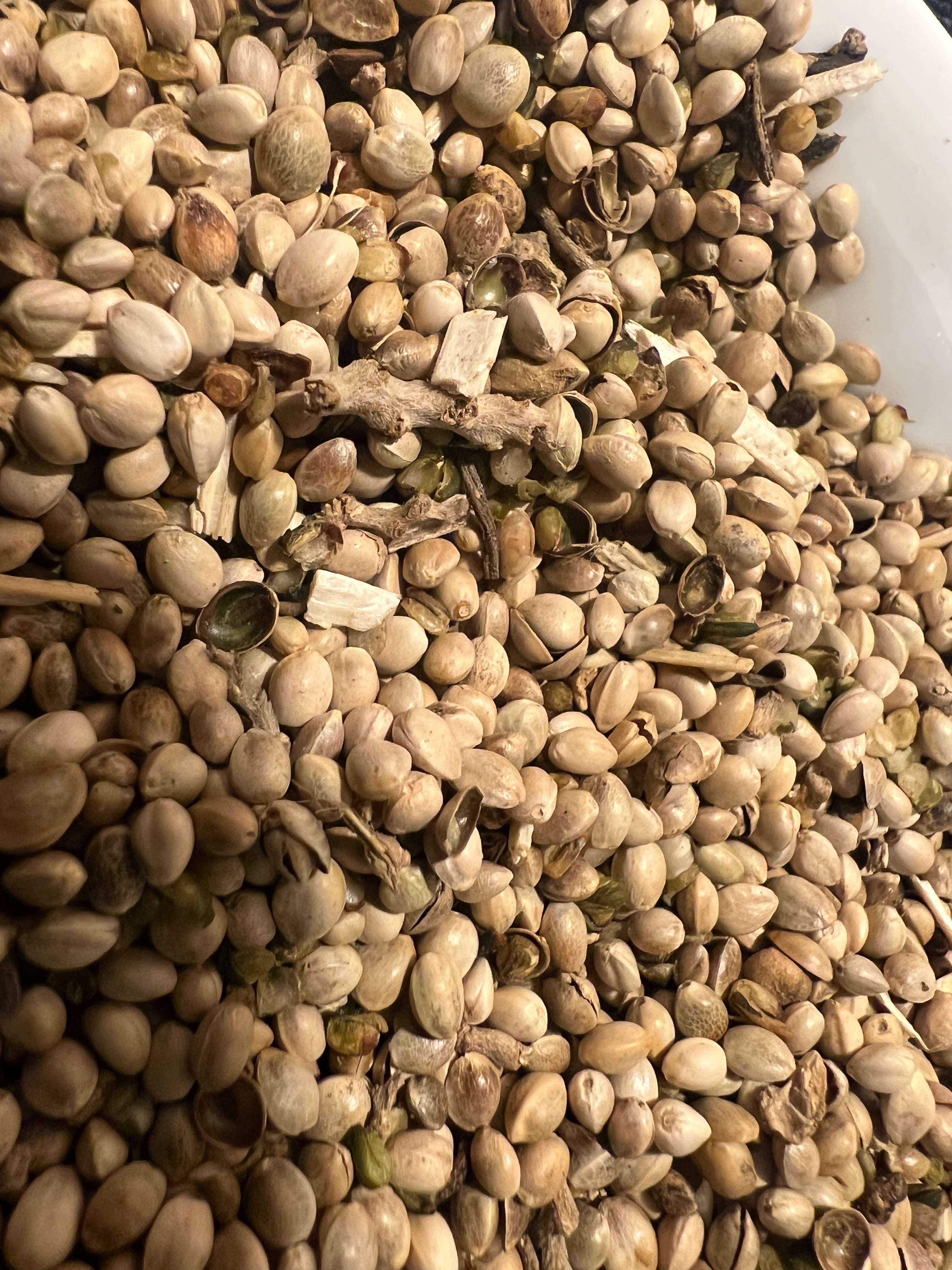 Ripkitty Premium Raw Organic Hemp Seeds Poultry Birds