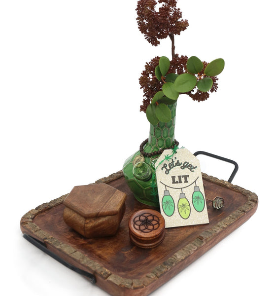 My Bud Vase - Woodland Turtle Set